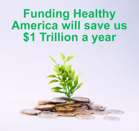 Corporations to fund Healthy America Foundation